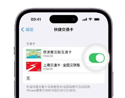 万年apple维修点分享iPhone上更换Apple Pay快捷交通卡手绘卡面 