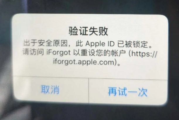 万年iPhone维修分享iPhone上正常登录或使用AppleID怎么办 