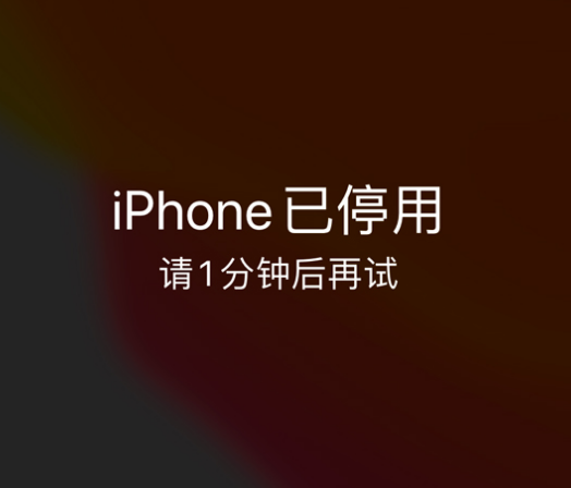 万年苹果手机维修分享:iPhone 显示“不可用”或“已停用”怎么办？还能保留数据吗？ 