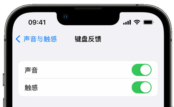 万年苹果手机维修分享iPhone 14触感键盘使用方法 