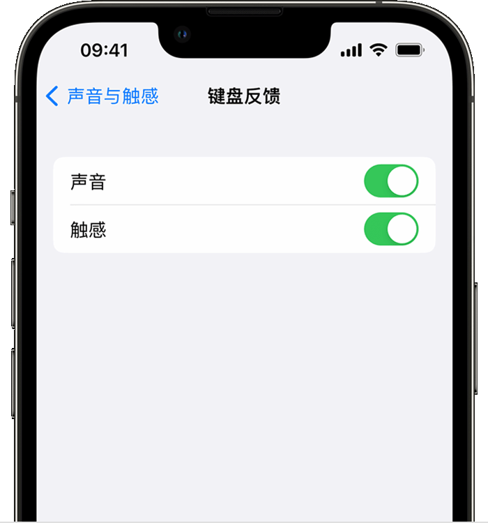 万年苹果14维修店分享如何在 iPhone 14 机型中使用触感键盘 