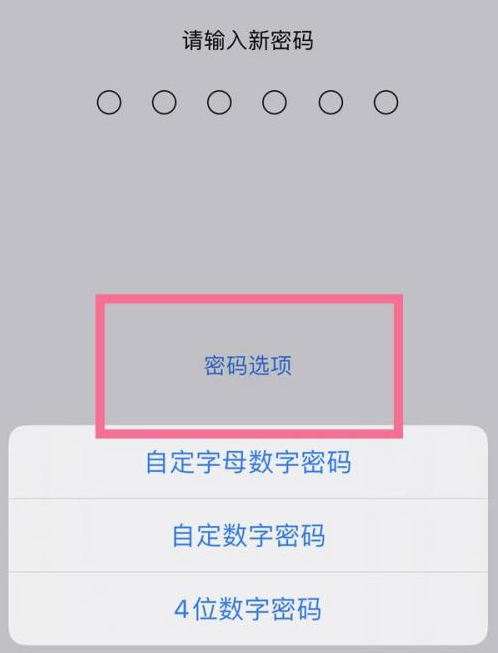 万年苹果14维修分享iPhone 14plus设置密码的方法 