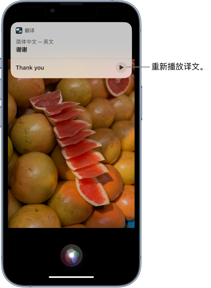 万年苹果14维修分享 iPhone 14 机型中使用 Siri：了解 Siri 能帮你做什么 